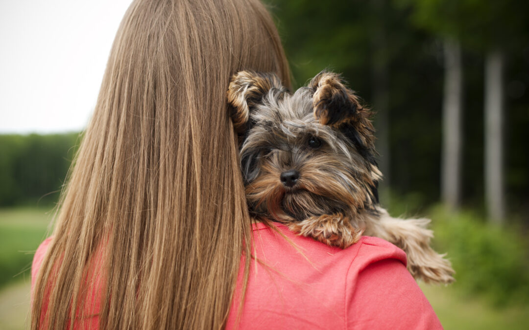 Building Bonds: The Art of Puppy Socialization